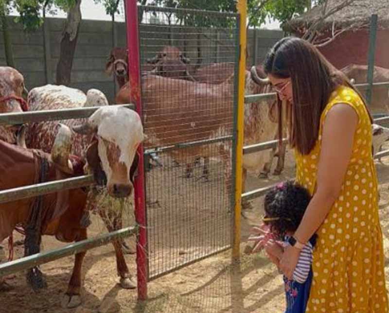 Family Weekend Trip Near in Delhi