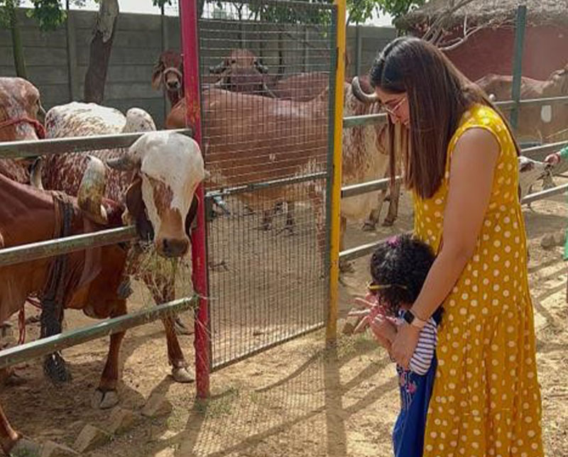 One-day evening outing with Family near Delhi